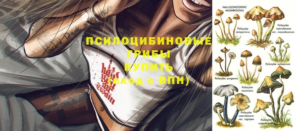 mix Армянск